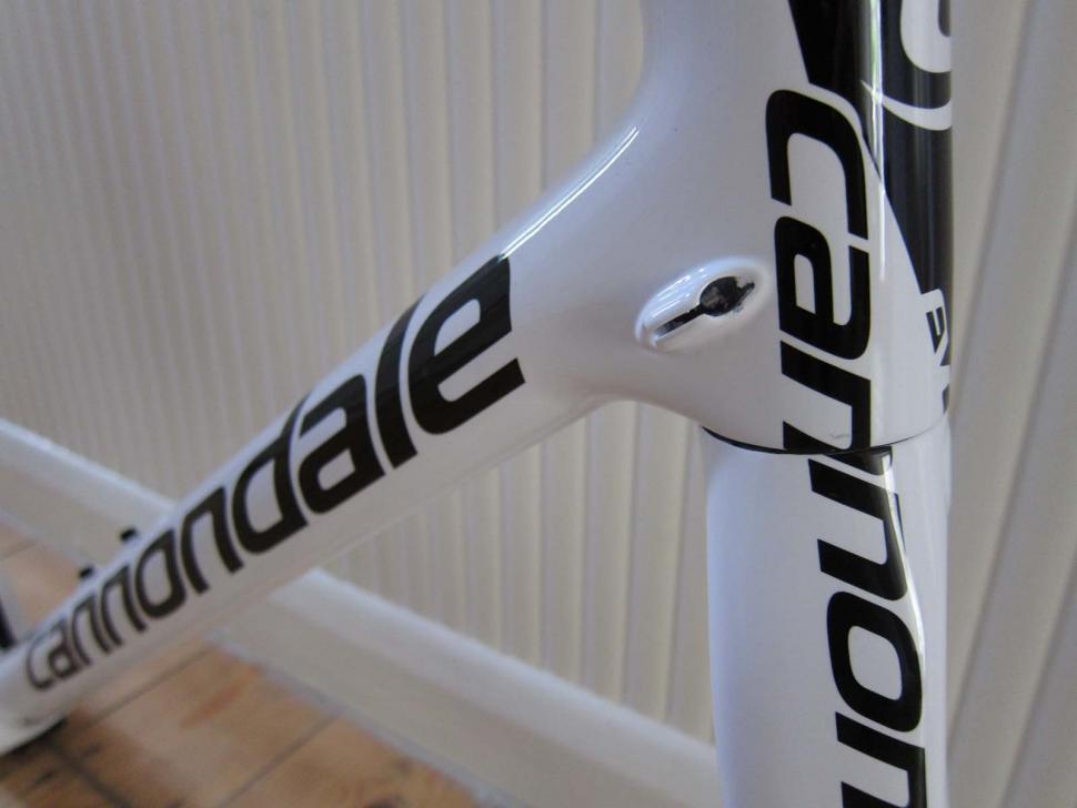 Cannondale evo online frame